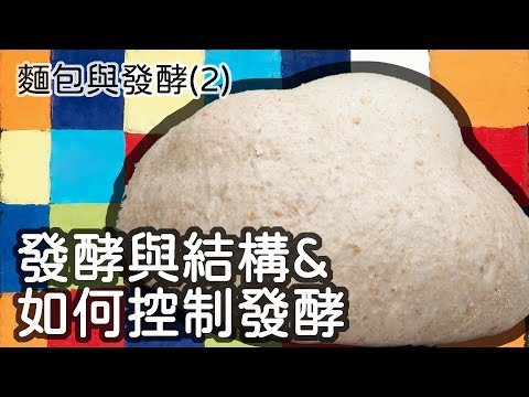 麵包研究室(22)一 發酵(2)發酵與結構的關係和如何控制發酵 (Fermentation and bread structure & how to manage the fermentation)