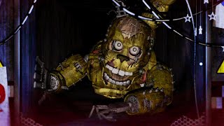 THIS ANIMATRONIC CRAWLED OUT OF THE VENTS AND GRABBED ME. - FNAF Freakshow