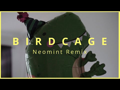 Thomas Lizzara - Birdcage (Neomint Remix) Official Dino Music Video