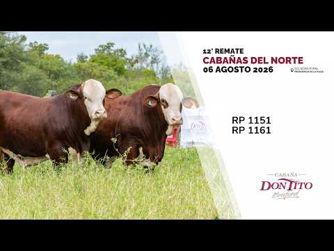 1 DON TITO RP 1151 RP 1161   CABAÑAS DEL NORTE 2026