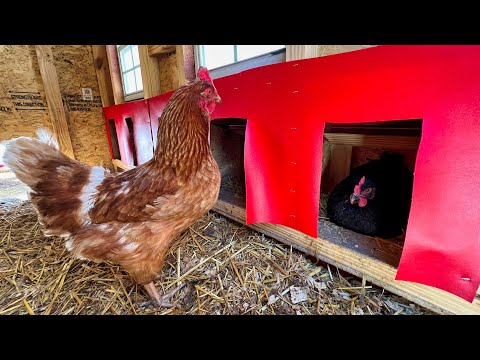 Installing Curtains for my 5 Chicken Nest Boxes