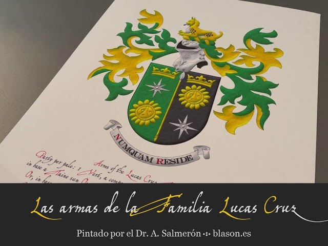 Vídeo relacionado con Escudo de armas Drax - Escudo de la familia Sudadera con Capucha