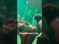 Puspa2 Short Shortvideo Shorsong Hindisongs Puspafullmovie Pushpa2 Reel Live TheRuleTrailer