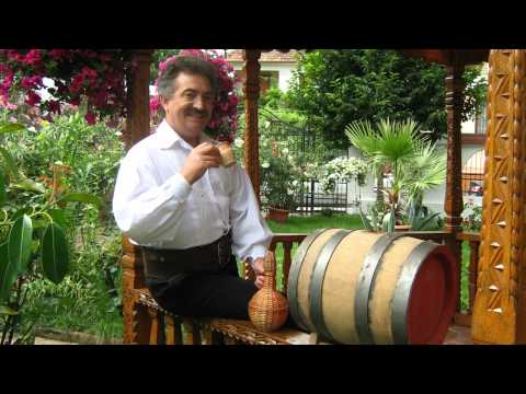 Petrica Mitu Stoian   Dantul de la Mehedinti