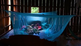 Malaria: How Do You Eradicate an Infectious Disease With No Vaccine? | Philip Eckhoff