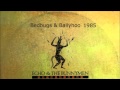 Bedbugs and Ballyhoo by Echo and the Bunnymen 1985 alternate version