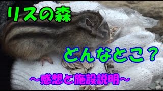 岐阜県　飛騨高山　リスの森に行ってきた感想と施設紹介