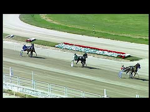 Napoli Trotto 26/03/2021 - prova di qualifica