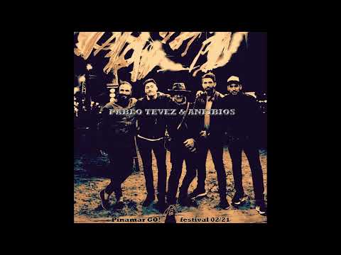 Pablo Tevez & Anfibios. Febrero 2021, Pinamar Go! En Vivo