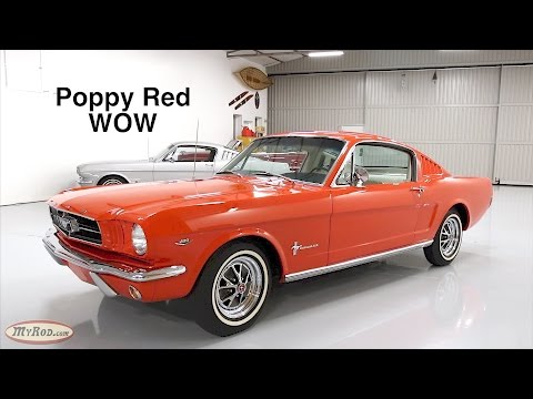 download lagu mp3 mp4 Poppy Red Paint Color, download lagu Poppy Red Paint Color gratis, unduh video klip Poppy Red Paint Color
