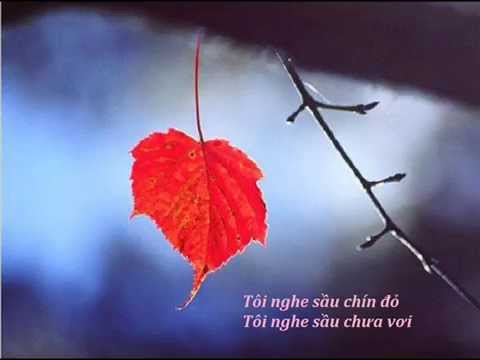 Tuổi tình yêu của tôi Sheet - Diệu Hiền