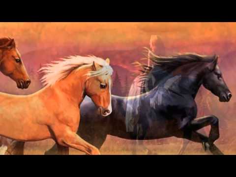 Konie -  Natalia Sikora -  Opole 2013 r.