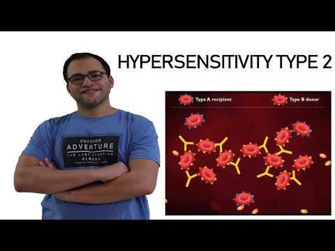 Hypersensitivity type 2