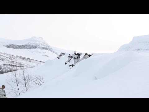 Exercise Cold Response '22: II MEF Conducts Force on Force Training