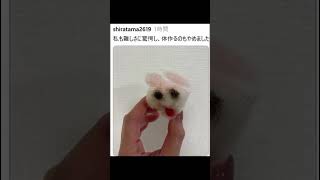 羊毛フェルト難しすぎ……