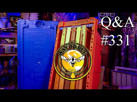 Backyard Beekeeping Q&A 331 November 7th 2025