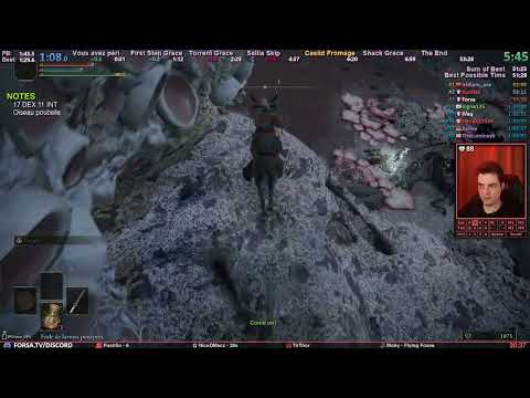 TENTATIVES DE WORLD RECORD 🌟 Any% Glitchless Speedruns