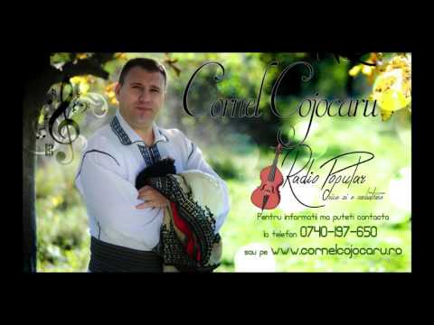 Cornel Cojocaru  - Izvoras curgand la vale