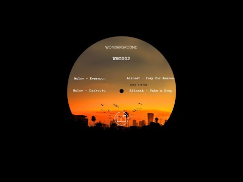 Alineat - Take A Step [WNG002]