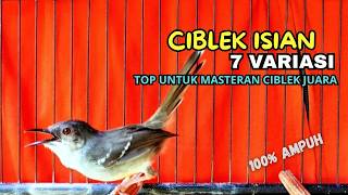 Download lagu Pancingan Ciblek Semi GACOR NGEBREN 9 Variasi bikin ciblek manapun seketika NYAUT mp3 Download lagu Pancingan Ciblek Semi GACOR NGEBREN 9 Variasi bikin ciblek manapun seketika NYAUT mp3