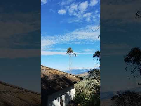 Para mí Linaje del COCUY BOYACÁ ✨🙏🏻 Gracias mis amores, ustedes son TREMENDA BELLEZAAAA😍❤️✨🥰☺️💯👏🏻👏🏻