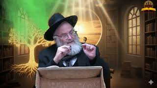 סודות חודש שבט: למה המרגלים באמת לא רצו להיכנס לארץ? הרב מנחם שטיין (קו ההלכה הספרדי) - התמונה מוצגת ישירות מתוך אתר האינטרנט יוטיוב. זכויות היוצרים בתמונה שייכות ליוצרה. קישור קרדיט למקור התוכן נמצא בתוך דף הסרטון