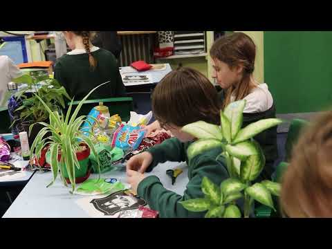 Participation | Lipson Vale Primary School Protect the Planet Challenge