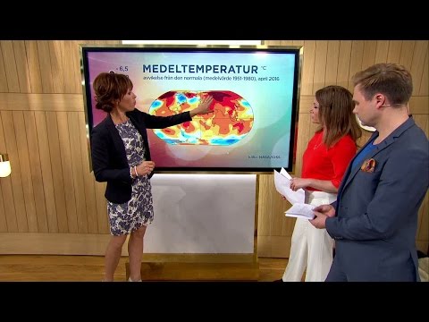 Klimatförändringarna: "Vi kommer få peakar med torka och skyfall" - Nyhetsmorgon (TV4)