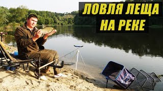 Место для ловля карпа на фидер ночью