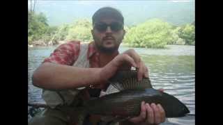 preview picture of video 'Fly fishing only river Lim Plav Montenegro by Tero.'