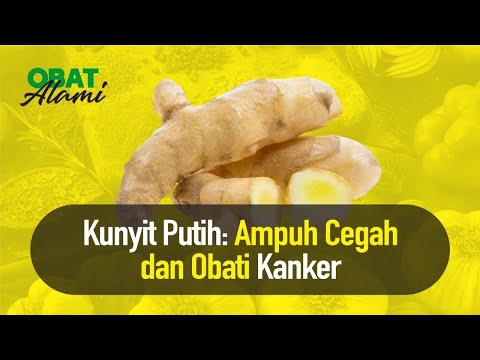 Kunyit Putih Rempah Langka, Sejuta Khasiat | Hidup Sehat tvOne