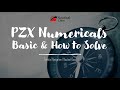 PZX Numerical S Basics And How To Solve Nautical Class