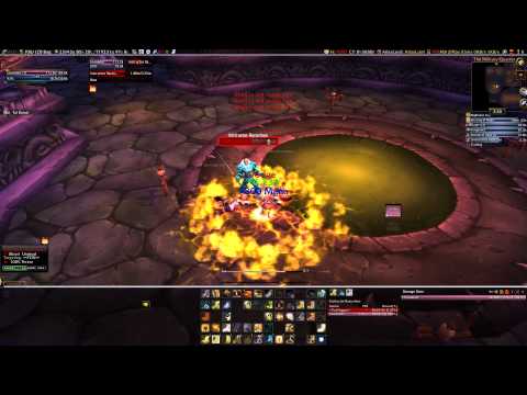 Protection Paladin Solo Instructor Razuvious