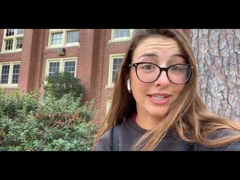 A Day in the Life: Petra Hule