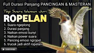 Download lagu TOP TERAPI !! TRUCUKAN GACOR ROPEL PANJANG, CEPAT MEMANCING TRUCUK BUNYI SEKETIKA GACOR mp3