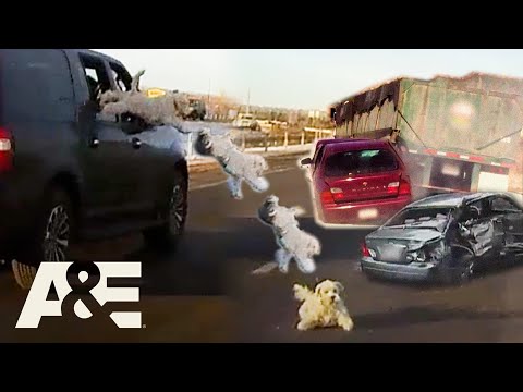 Road Wars You CAN'T Look Away From - Top 8 Moments | Road Wars | A&E