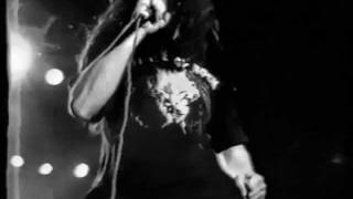 Hermetica-Traicion-Video Vivo