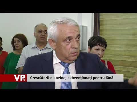 Crescătorii de ovine, subvenţionaţi pentru lână