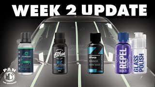 Glass Coatings Battle: 2 week UPDATE!