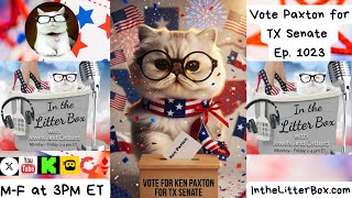 Vote Paxton for TX Senate | In the Litter Box w/ Jewels Jones &amp; Catturd – Ep. 1023 5/12/2026