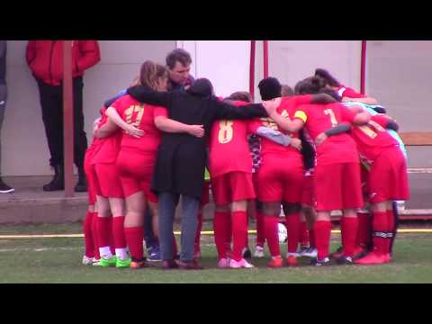 03.11.2019: Piros Security Arad - Selena Constanța (repriza1)