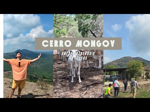 MONGOY, Entre potreros y Vaquitas...