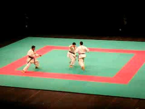 Karate Italian Team doing forms (Martial Arts Day 2007-12-01)