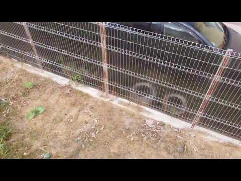 An afternoon in Vorovesti! 👏