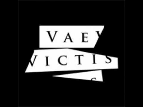Vae Victis - Tek tabanca (hardcore punk Türkiye)