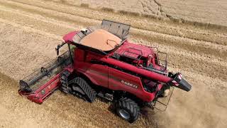 Wheat harvest 2021 Hokkaido part3