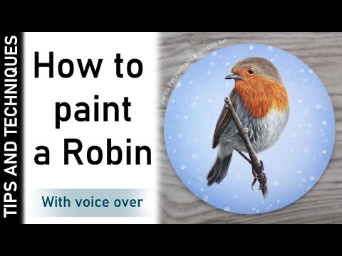 HOW TO PAINT A ROBIN IN ACRYLICS