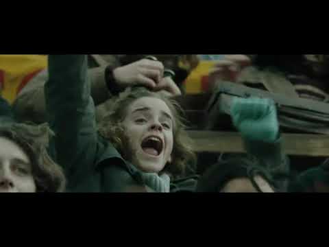 Harry Potter winning the first task of Triwizard...