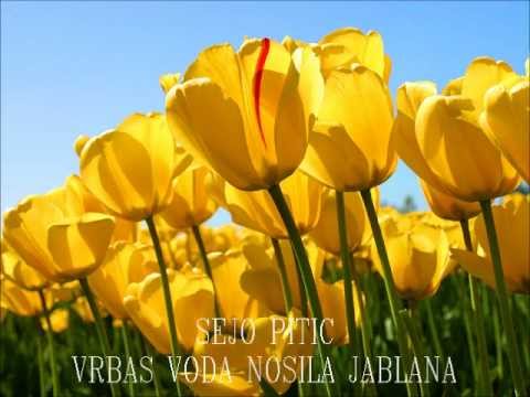 SEJO PITIC - Vrbas voda nosila jablana