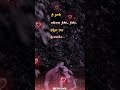 senthoora pandikoru song Tamil lo senthoora pandikoru song Tamil lo